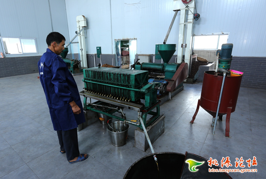 九游会老哥俱乐部,油茶莳植生产加工销售,植物油莳植生产加工销售
