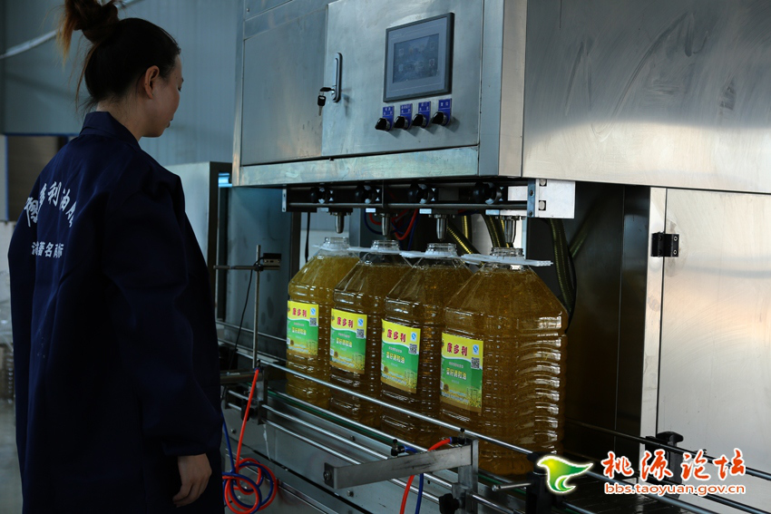 九游会老哥俱乐部,油茶莳植生产加工销售,植物油莳植生产加工销售