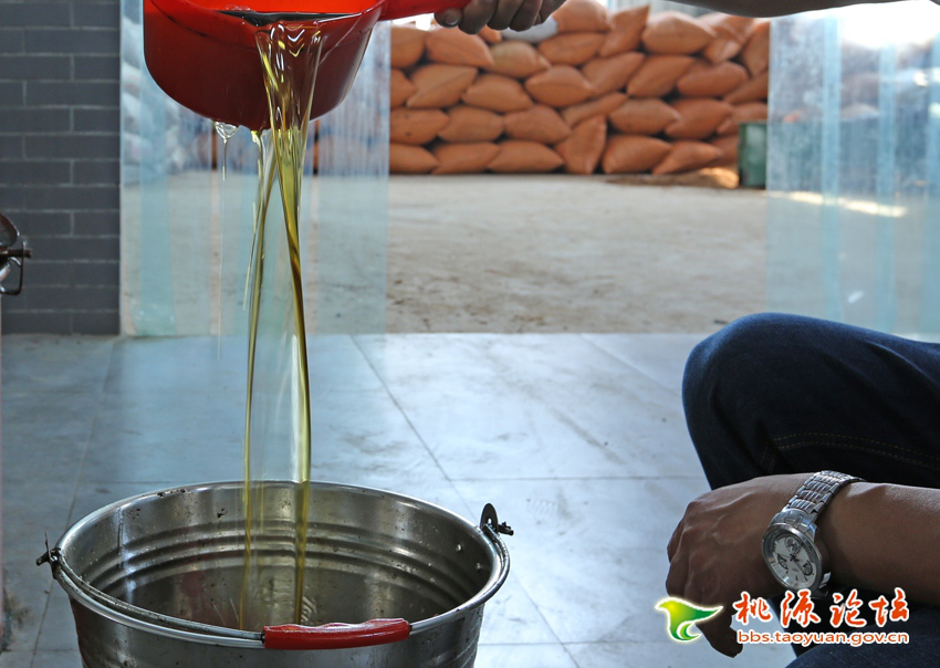 九游会老哥俱乐部,油茶莳植生产加工销售,植物油莳植生产加工销售