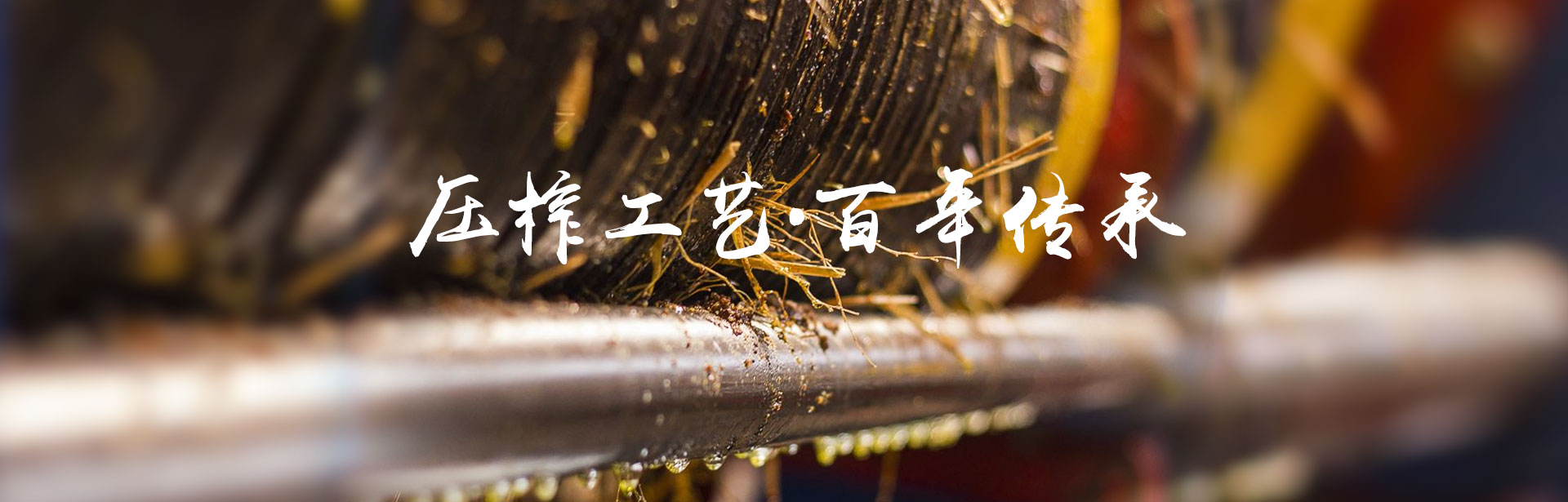 九游会老哥俱乐部_油茶莳植生产加工销售|植物油莳植生产加工销售