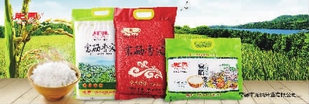 九游会老哥俱乐部,油茶莳植生产加工销售,植物油莳植生产加工销售