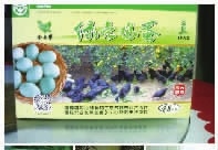九游会老哥俱乐部,油茶莳植生产加工销售,植物油莳植生产加工销售